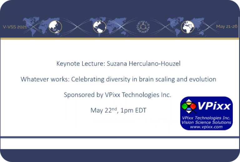 Whatever works: Celebrating diversity in brain scaling and evolution (V-VSS 2021 Keynote Lecture)